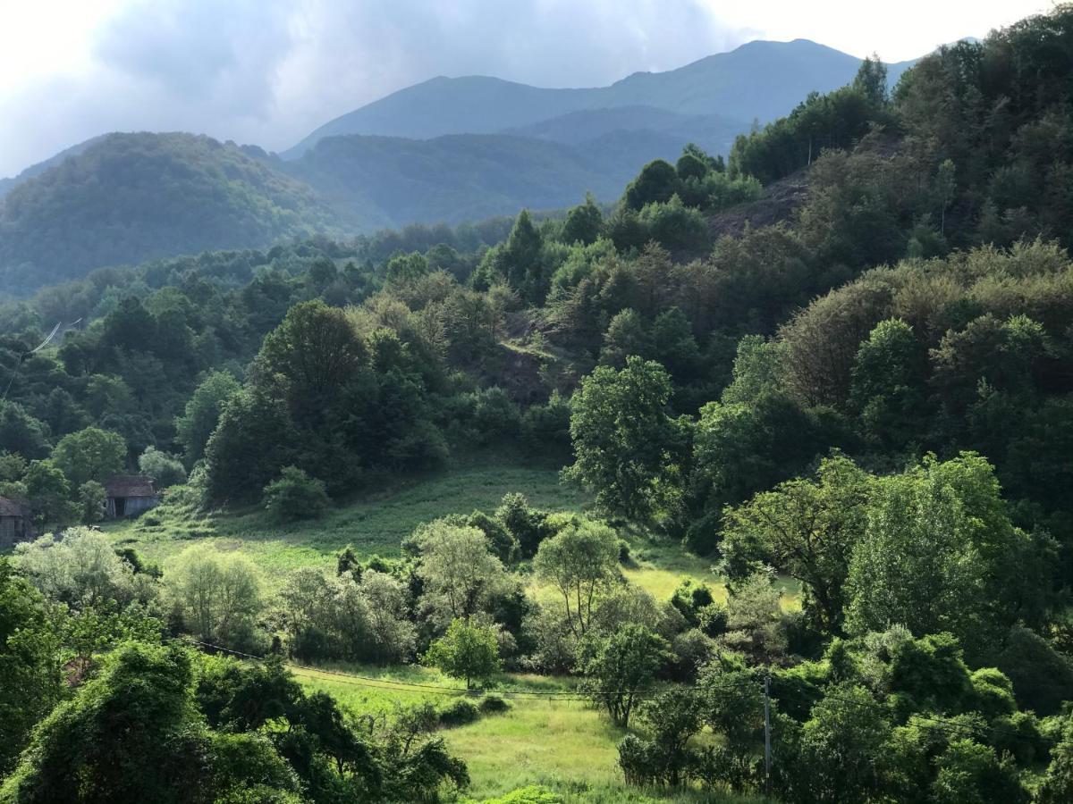 Aphrodite Hills Apartments-Stara Planina Crni Vrh ภายนอก รูปภาพ