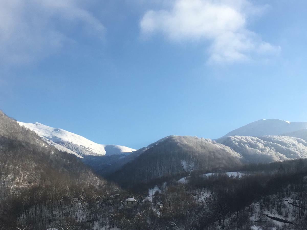 Aphrodite Hills Apartments-Stara Planina Crni Vrh ภายนอก รูปภาพ
